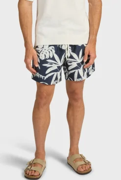 Online Academy Brand Hamilton Boardy