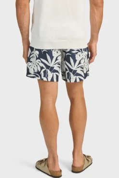 Online Academy Brand Hamilton Boardy