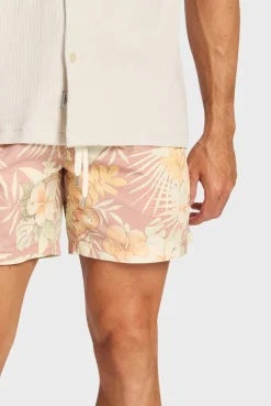 Sale Academy Brand Nelson Boardy