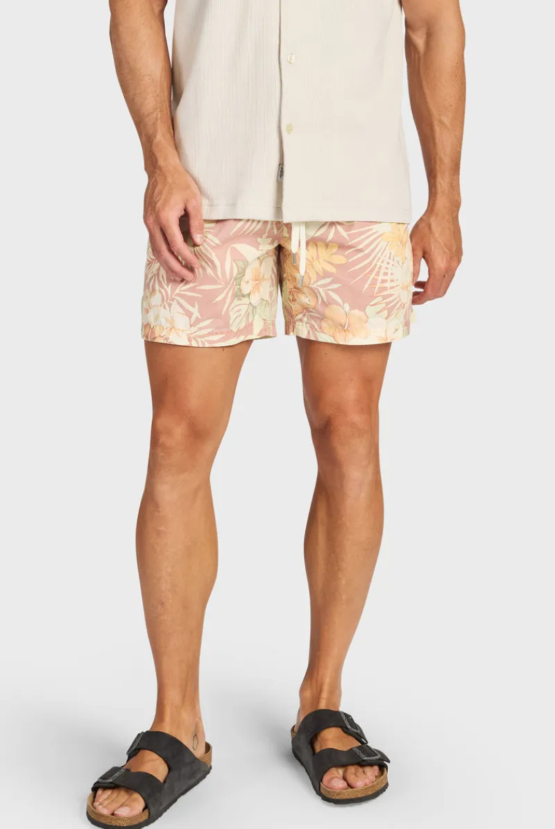 Sale Academy Brand Nelson Boardy