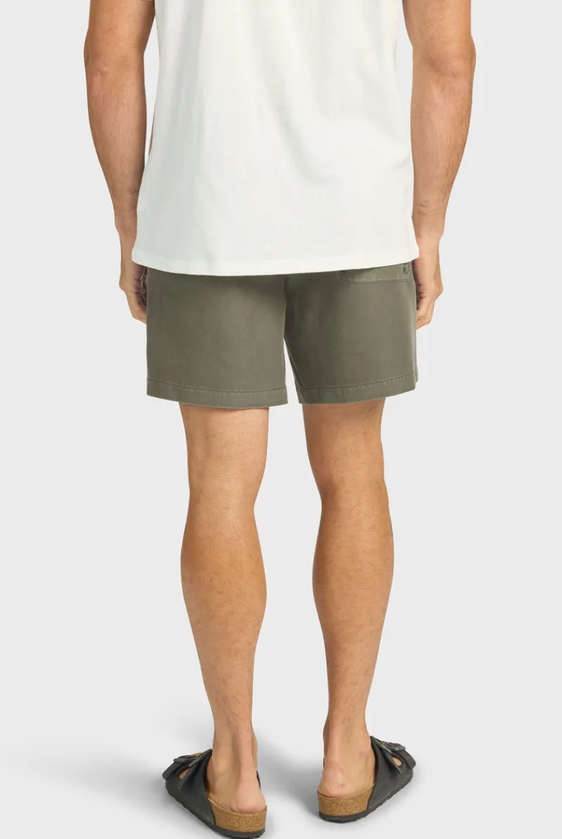 Online Academy Brand Teamster Boardy