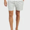 Fashion Academy Brand Teamster Stripe Boardy